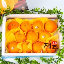 익산원예농협 정섬담은 한라봉 선물세트 3kg (특 13내), 단일옵션