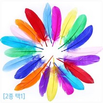 컬러 깃털 드림캐쳐만들기 DIY 거위털 취미 가공 미술 셀프 교구 부자재 방과후 초등 준비물, 1개, 소형 깃털(약 30개)
