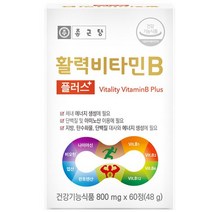 종근당 활력 비타민B 플러스, 2박스, 60정