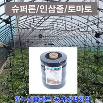 슈퍼론(흑색)/씨씨론/인삼줄/토마토내림줄, 600m