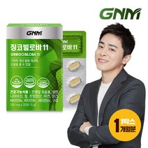 GNM 징코빌로바11 1박스 은행잎추출물 비타민B 아연 판토텐산, 1개, 상세 설명 참조