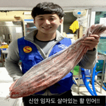 신안 임자도 지도 자연산 민어 회 (3~10kg), 10kg, 분리(오로시)