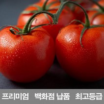 [ClDS-212]영화청과 국내산 토마토 5kg 프리미엄 백화점 남품 요리 즙 키우기 재배, 본상품