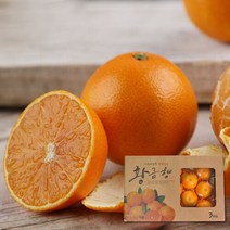 [제주직송]달콤한 황금향 14~20과 3kg, 1개