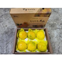 황금향 2kg 가정용 7개내외 제주황금향, 상세페이지 참조, 상세페이지 참조