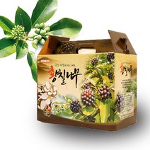 웰빙 국산 황칠 진액 60포 (각 100ml) 황칠나무 추출물, 국내산 황칠나무추출물 60포x100ml