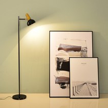 콜린퍼스 장스탠드 플로어 무드등 감성 조명 블랙+12w led 볼구 노란빛, 색상