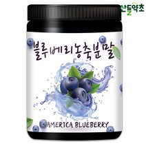 블루베리농축분말 300g 미국산 블루베리농축액, 블루베리농축분말 300gx1통