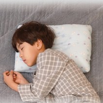 통세탁 기능성 코샤베개(유아용), 선택안함, 블루, S