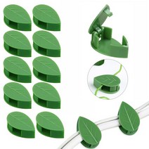 식물넝쿨 줄기 벽고정 클립_10P 잎새 벽부착 멀티홀더