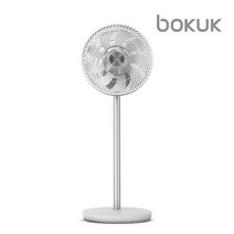 22년 NEW 보국 BLDC 써큘레이터 BKF-2230DC 화이트실버, 없음