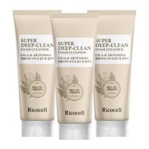 병풀+약쑥 슈퍼 딥 클린 폼 클렌저 220ml 대용량 저자극 촉촉 어성초 시카 함유 휩 클렌징, 3개