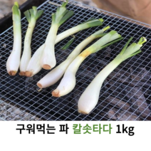 칼솟타다 구워벗는 파 1kg 양파 순