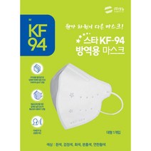 스타 KF94 방역용마스크(그레이/대형) 2D x 100매