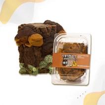 셀러허브 식품 [송일품] 말린 상황버섯 원물 건재 먹는법 50g 1개, 송일품약용버섯이엄선한상황버섯