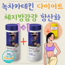 녹차 카테킨 다이어트 체지방 감소 분해 항산화 에너지 대사 기초대사량 뱃살 허벅지 팔뚝 살 내장지방 식약청 식약처 인증 증가 예뻐지는 이뻐지는 단기간 연예인 컷팅 커팅 옆구리, 1+1+비타민C 1개