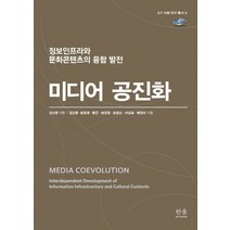 미디어 공진화: 정보인프라와 문화콘텐츠의 융합 발전, 한울아카데미, 김신동송경재황근송민정조영신이남표배진아