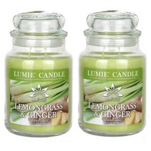 르미에 630g 기본형 라지자 캔들 레몬그라스앤2개