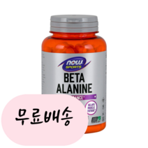 나우푸드 스포츠 베타 알라닌 750mg 120개입, 120정, 1개