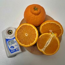 제주 신품종 스테비아급 고당도 한라봉 써니트, 써니트/가정용/10kg/중소과(46~55과내외)