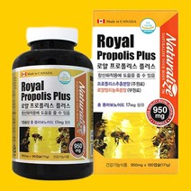 3 +3행사 네추럴라이즈 로얄 프로폴리스 플러스 가족선물 일석이조