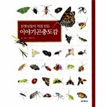 이야기 곤충 도감 선생님들이 직접만든, 상품명