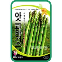 아스파라거스 50립 / 아스파라거스씨앗 아스파라거스씨 이색채소 종자 주말농장 베란다텃밭