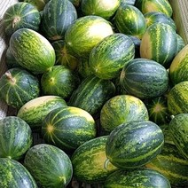 기타 올해첫수확 산지직송 경북고령 성산메론 파파야메론 3kg(4~8개내외), 단품