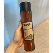 백준호 효소마을 천연매실청 임산부 오래된 매실엑기스 숙성 발효액 소스 500ml 1개, 매실청