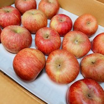 농부아재어부아재 꿀 부사 사과 (세척 비세척 3kg 5kg 10kg), 꼬마과 25~28과 5kg, 세척 : 꿀 부사 사과 22년 수확 (정품)