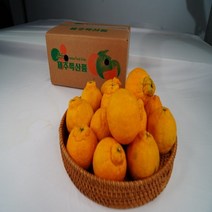 탐라인 한라봉 가정용 중소과 3kg, 1box