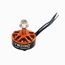 1800KV RC 브러시리스 모터 예비 부품 CW/CCW 레이싱 FPV Eachine Tyro129 용 고출력 교체 액세서리, [02] CW