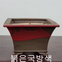 27. 손바닥정원 사각현애(대) 분재화분 승전분, 붉은국방