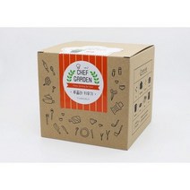 셰프가든 루꼴라키우기 .오피스넥스