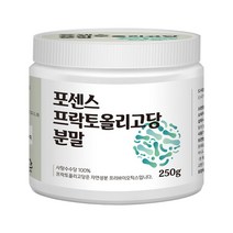 임산부 프락토올리고당 프리바이오틱스 분말가루 250g