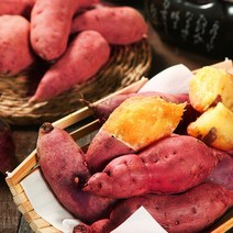 해남 황토 꿀밤 고구마 10kg 중(50-100g내외), 단품