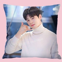 차은추 쿠션 베개 굿즈 아스트로 소품, 부드러운 양털 (베개 포함), 2