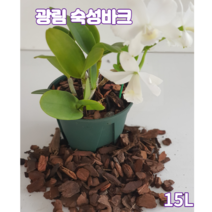 숙성 화분갈이바크15L 소나무 껍질 서양란분갈이전용 블루베리 아로니아 원예 조경용 파충류바닥재