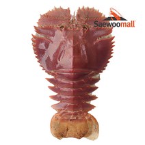 새우몰 선동 부채새우 500g 6-7미, 500g (6~7미), 1개