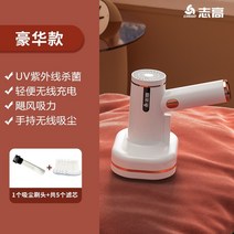 매트릭스청소 가벼운무선 침구 패브릭소파 청소기 진드기 제거 가정용 소형 다기능 자외선, 3-진드기 제거제 + 진공 브러시 헤드 + 예비 필터