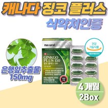 은행잎추출물 식약처 50대 여성 비타민b 징코 4개월분 식약청 인증 캐나다산 비타민d 아연 40대 남성 부모님 대치동 영양제 고3 고등학생 중학생 60대 공시생