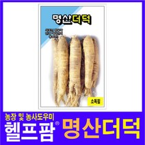 헬프팜 명산더덕 1000립 씨앗 종자 그린하트바이오
