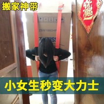 만능지렛대 가구 옮기기 냉장고 피아노 이동 바퀴 냉장고 이동 유물 위아래 계단 오르기 계단 스트랩 로프 리프트 무거운 물건 단일 이중 취급 노동 절약 도구 로프, 수박 레드 더블 숄더 + 휴대용