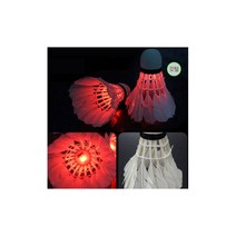 LED 셔틀콕 2P 야간 배드민턴공 네트 지주 배드민턴콕, 깃털(2P)