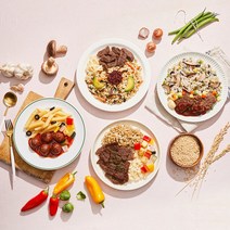 고기대신 식물성 도시락 비건 양념갈비 전주 비빔밥, 식물성 찰보리 불고기 덮밥