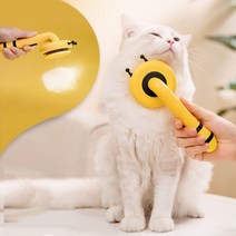 빗어주개 허니비콤, 1