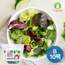 데이밀 자연을담은 샐러드 실속B 100g x 10팩 국내산 야채믹스 + 40g 홀그레인발사믹드레싱 10개, 1세트