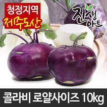 후금이네 갓수확한 제주산 콜라비, 1개, 10kg