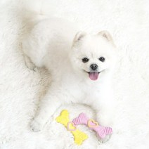 강아지 이갈이 라텍스 뼈다귀 씹는 장난감 어질리티 입냄새제거 선물 덤벨 교감쌓기, 1개
