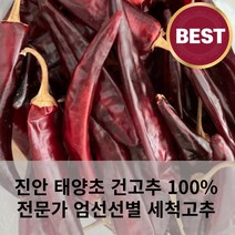 진안 태양초 고추 100% 깨끗한 최상급 건고추 마른고추 1근 600g 세척완료 세척고추 전문가엄선선별, 꼭지 뽑은 고추 600g, 1개